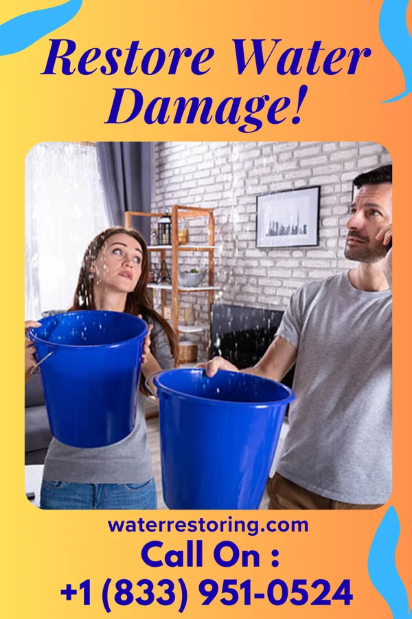 water restoration Best Water Mitigation Professionals Lyons Falls