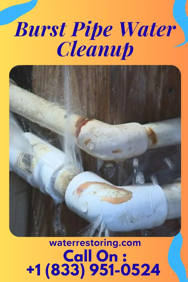 Burst Pipe Water Cleanup in Lyons Falls, NY