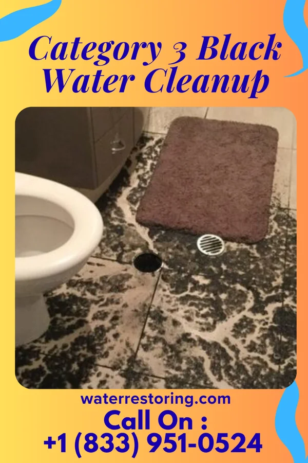 Category 3 Black Water Cleanup in Lyons Falls, NY