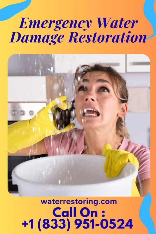 Emergency Water Damage Restoration in Lyons Falls, NY