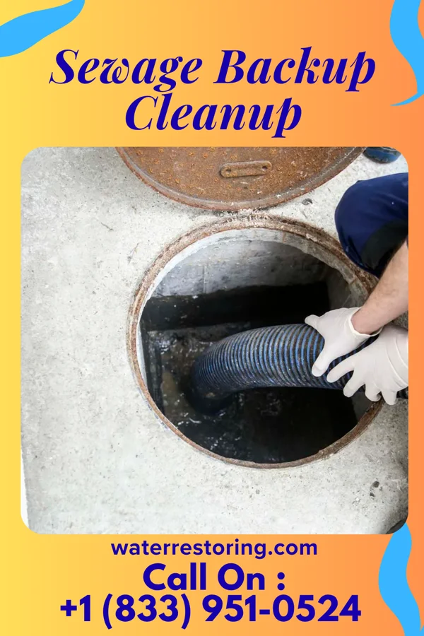 Sewage Backup Cleanup in Lyons Falls, NY
